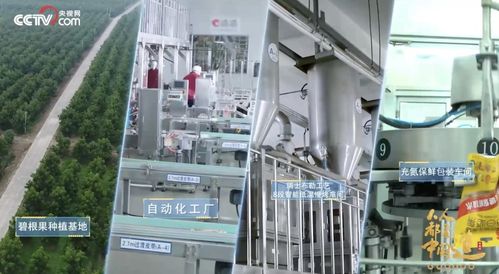 洽洽入選品牌信用建設(shè)典型案例，信息技術(shù)服務(wù)助推民族品牌發(fā)展